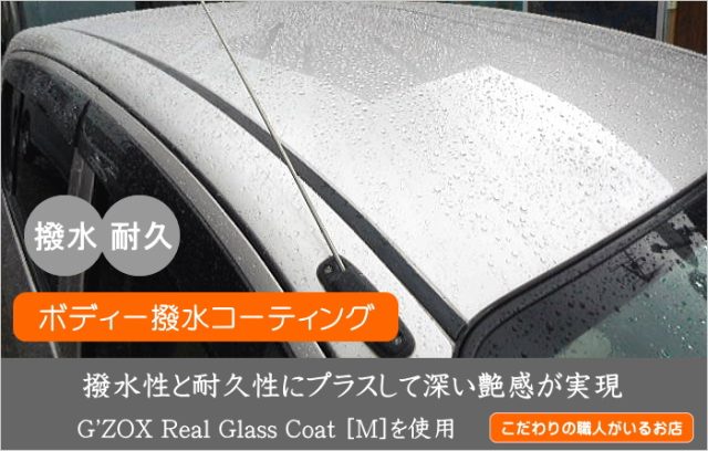 Real Glass Coat [M]